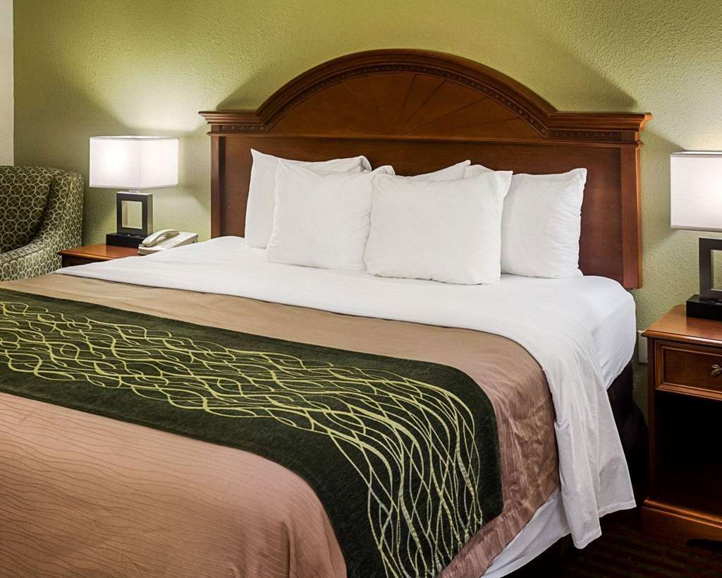 Comfort Inn Newport News - Hampton I-64 部屋 写真